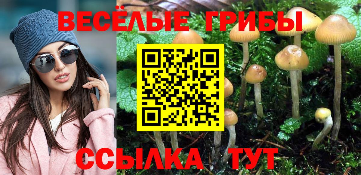 Псилоцибиновые грибы Psilocybine cubensis  Псилоцибиновые грибы ЛСД  Вход с VPN  Люберцы 