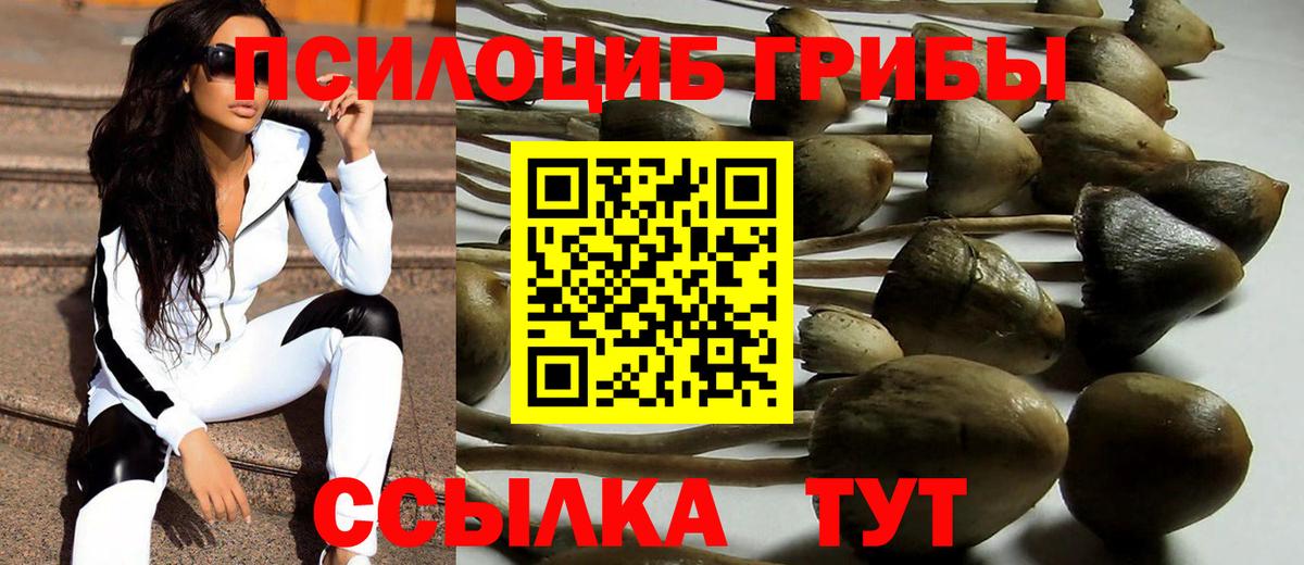 Псилоцибиновые грибы MAGIC MUSHROOMS Люберцы