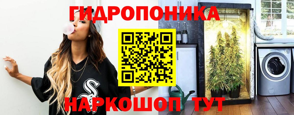 Бошки марихуана планчик  Канабис планчик  Вход с VPN  Люберцы  Бошки марихуана марихуана 